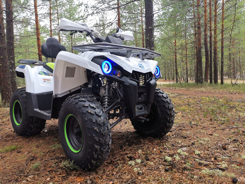 Квадроцикл PROMAX RENEGADE 280 (2025) в Волжском