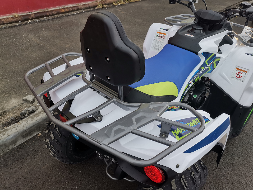 Квадроцикл PROMAX RENEGADE 280 LUX (2025) в Волжском