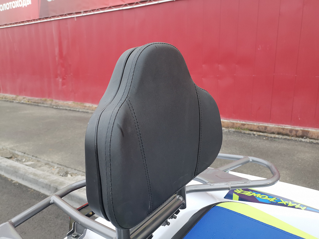 Квадроцикл PROMAX RENEGADE 280 LUX (2025) в Волжском