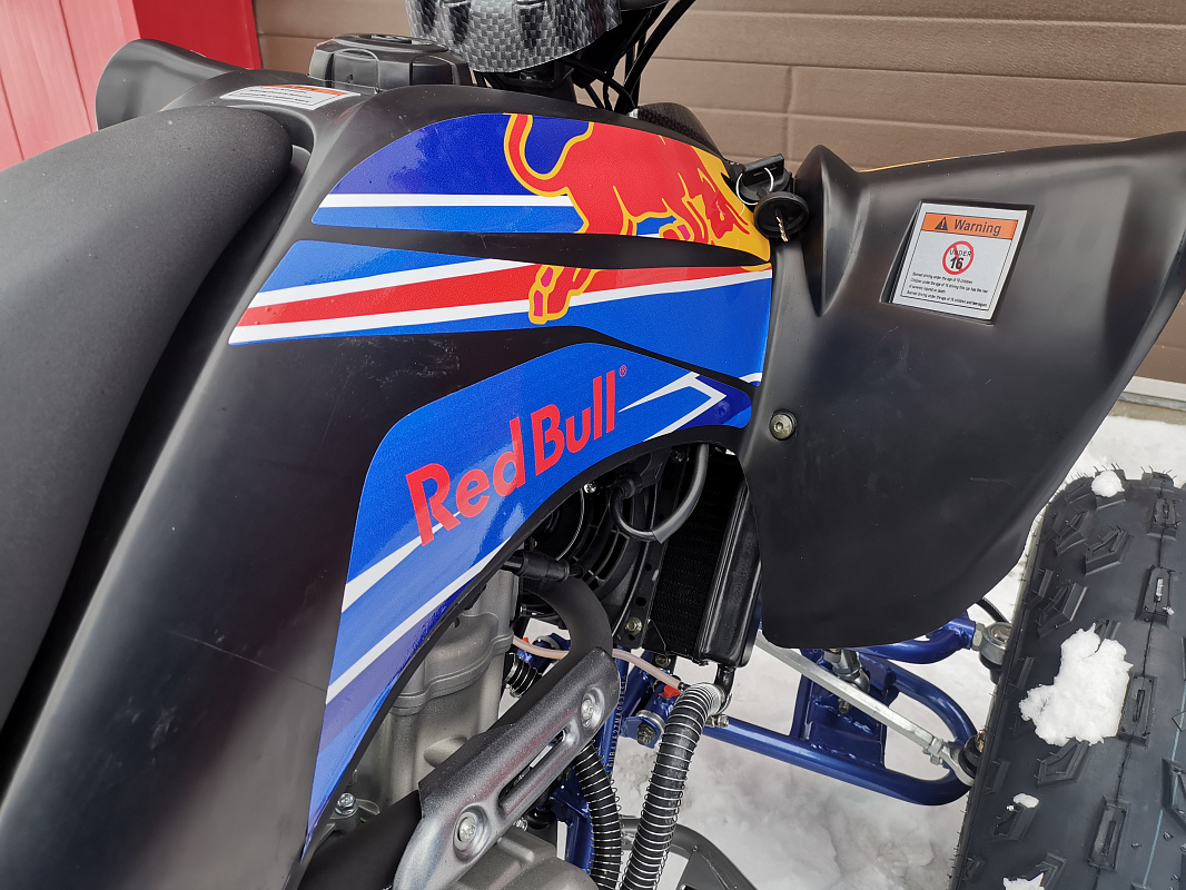 Квадроцикл PROMAX RAPTOR 300 NEW RedBull в Волжском