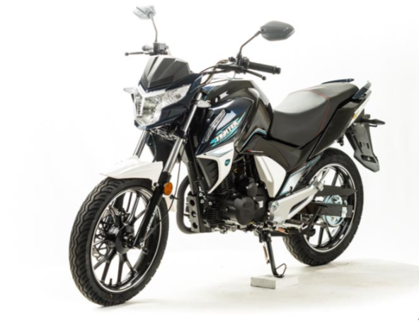 Мотоцикл MOTOLAND (МОТОЛЕНД) FIGHTER 250 в Волжском