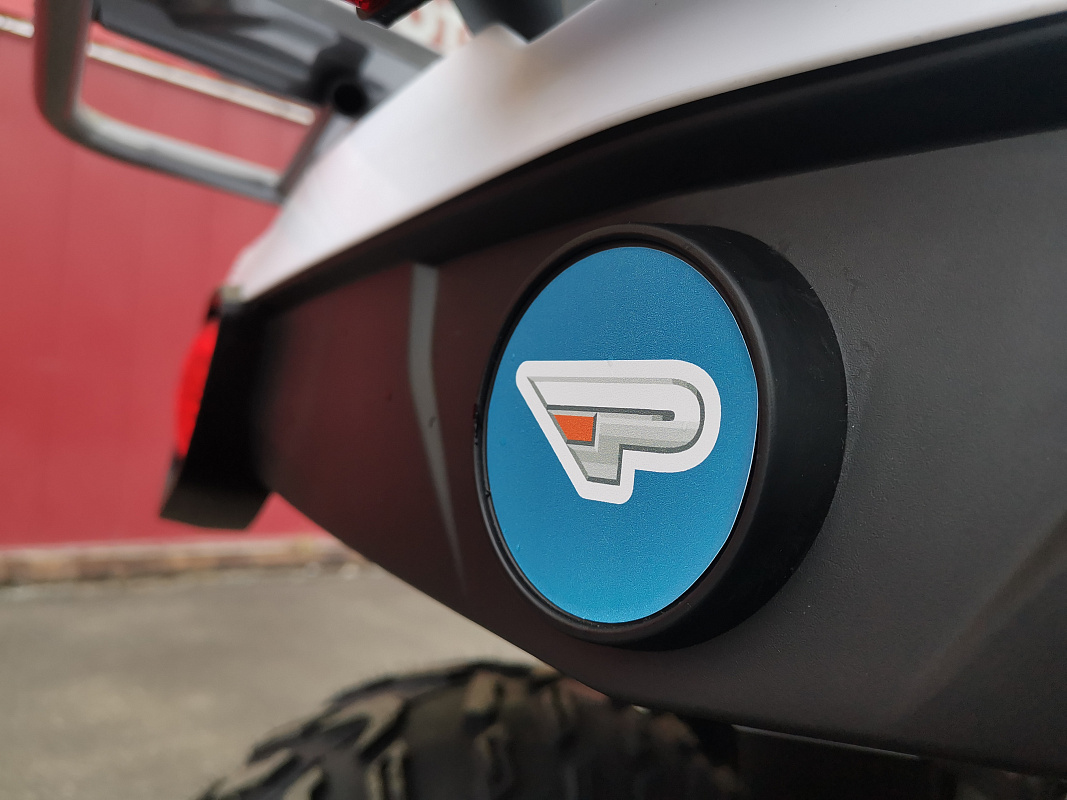 Квадроцикл PROMAX RENEGADE 280 LUX (2025) в Волжском