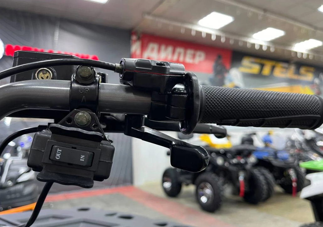 Квадроцикл PROMAX RENEGADE 300 LONG WINCH PRO (2025) в Волжском