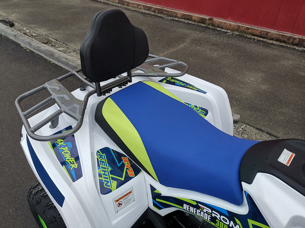Квадроцикл PROMAX RENEGADE 280 LUX (2025) в Волжском