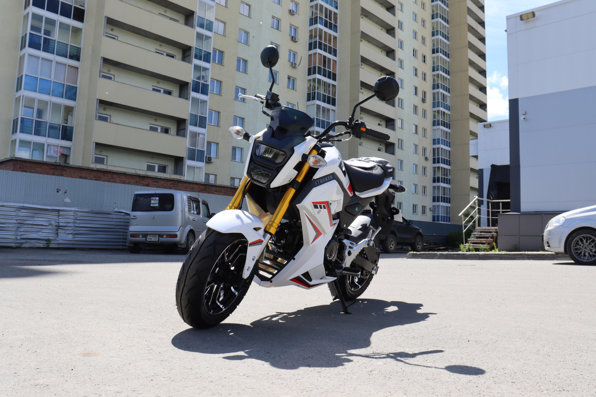 Мотоцикл PROMAX STRYKER 200(49) 2.0 в Волжском