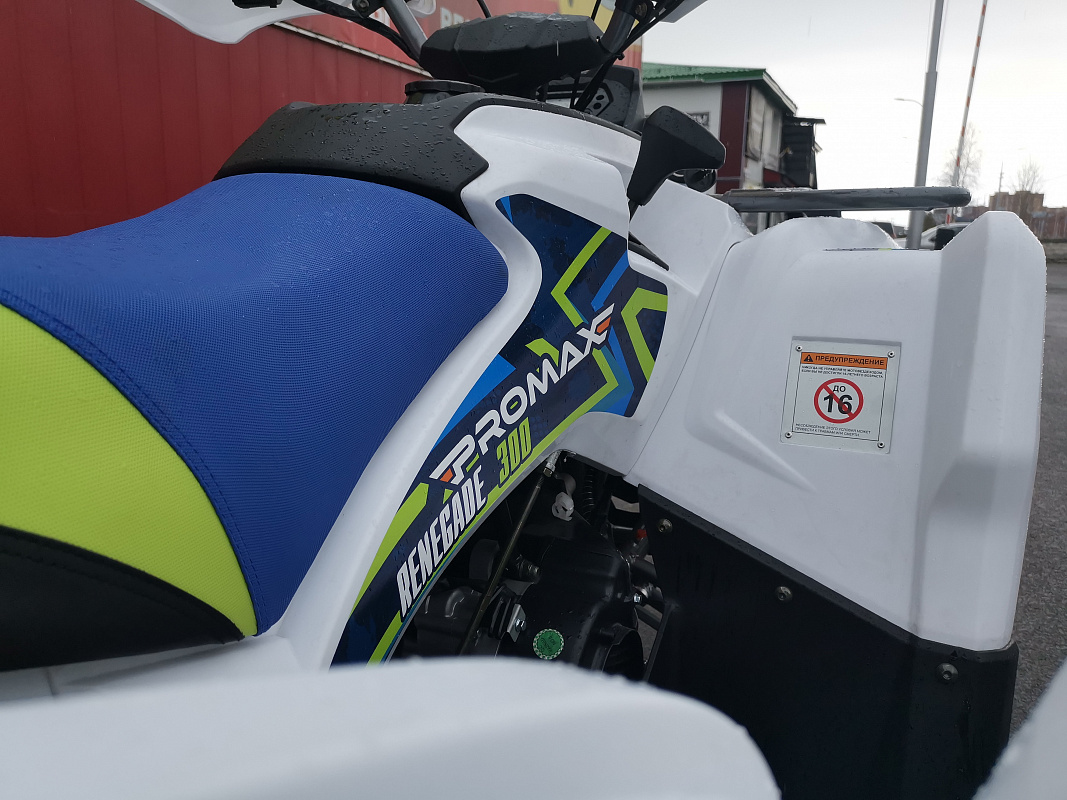 Квадроцикл PROMAX RENEGADE 280 LUX (2025) в Волжском
