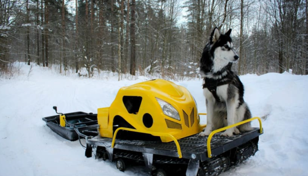 Мотобуксировщик LEBEDEV MOTORS ВОЛКОДАВ POWER V13 в Волжском