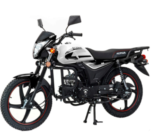 Мопед MOTOLAND (МОТОЛЕНД) Альфа RS 11 (LM48-B) в Волжском