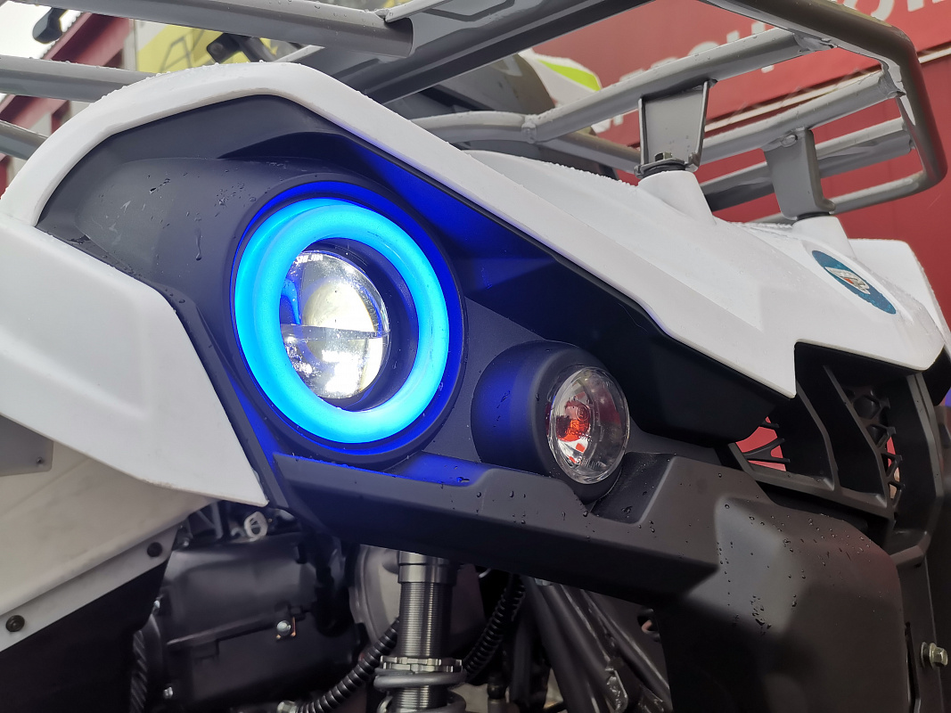 Квадроцикл PROMAX RENEGADE 280 LUX (2025) в Волжском