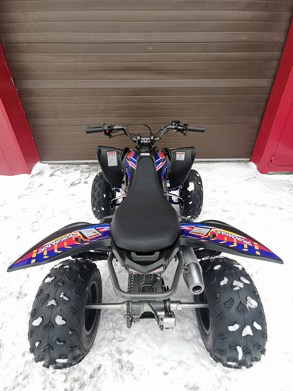 Квадроцикл PROMAX RAPTOR 300 NEW RedBull в Волжском