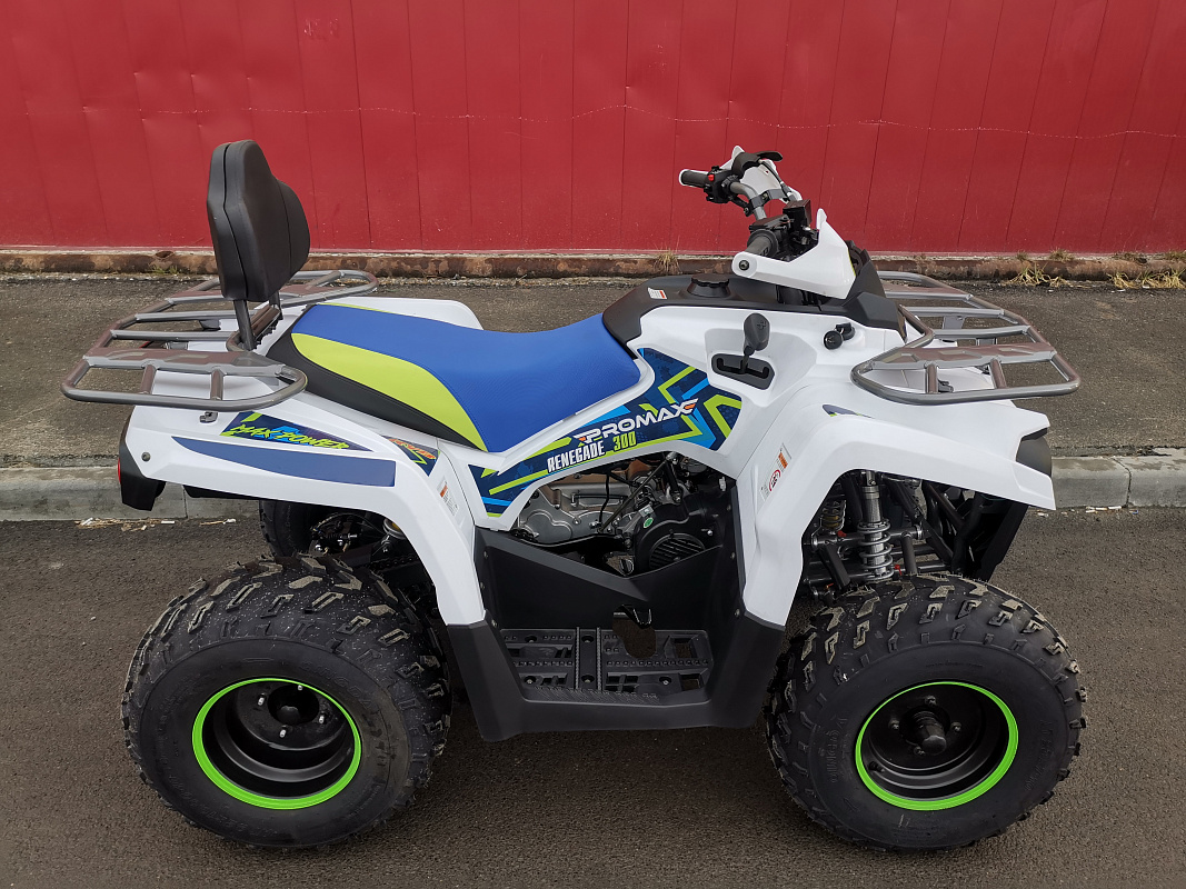 Квадроцикл PROMAX RENEGADE 280 LUX (2025) в Волжском
