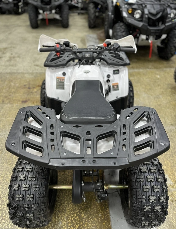 Квадроцикл PROMAX WILD 2.0 190 в Волжском