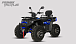 Квадроцикл PROMAX TAURUS 300 MAX-PRO LONG в Волжском