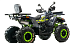 Квадроцикл MOTOLAND (МОТОЛЕНД) VOX200 WILD TRACK X WINCH (баланс. вал) в Волжском