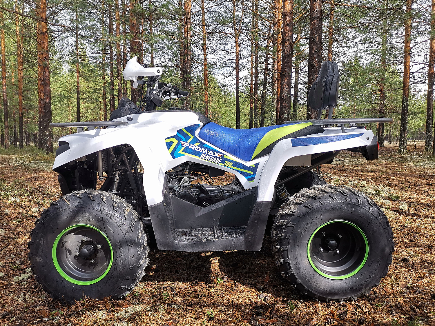 Квадроцикл PROMAX RENEGADE 280 (2025) в Волжском
