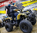 Квадроцикл PROMAX ATV 250 (2025) в Волжском