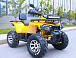 Квадроцикл MOTOLAND (МОТОЛЕНД) VOX200 WILD TRACK X PRO (баланс. вал) в Волжском