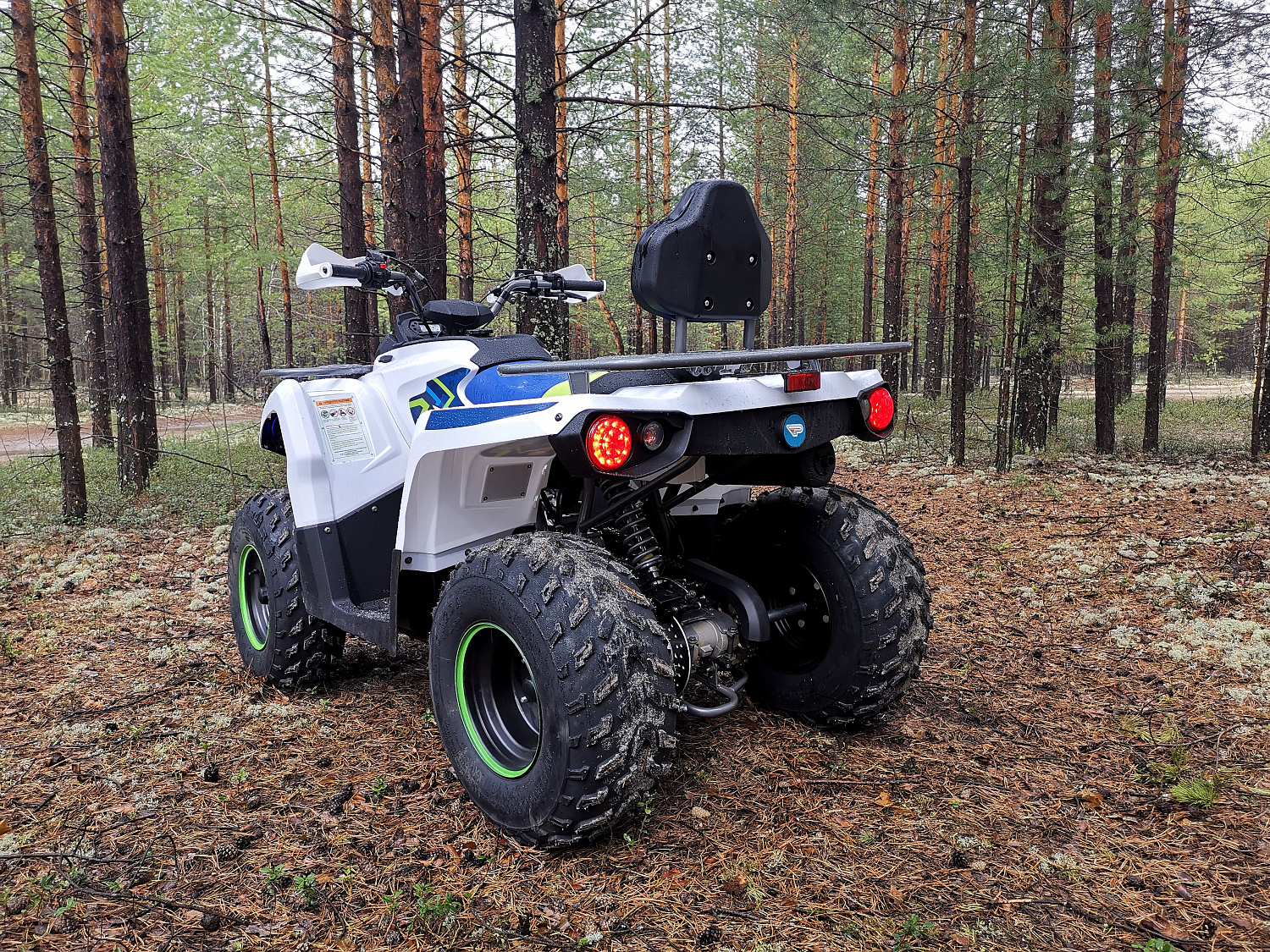 Квадроцикл PROMAX RENEGADE 280 (2025) в Волжском