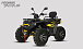 Квадроцикл PROMAX TAURUS 300 MAX-PRO LONG в Волжском